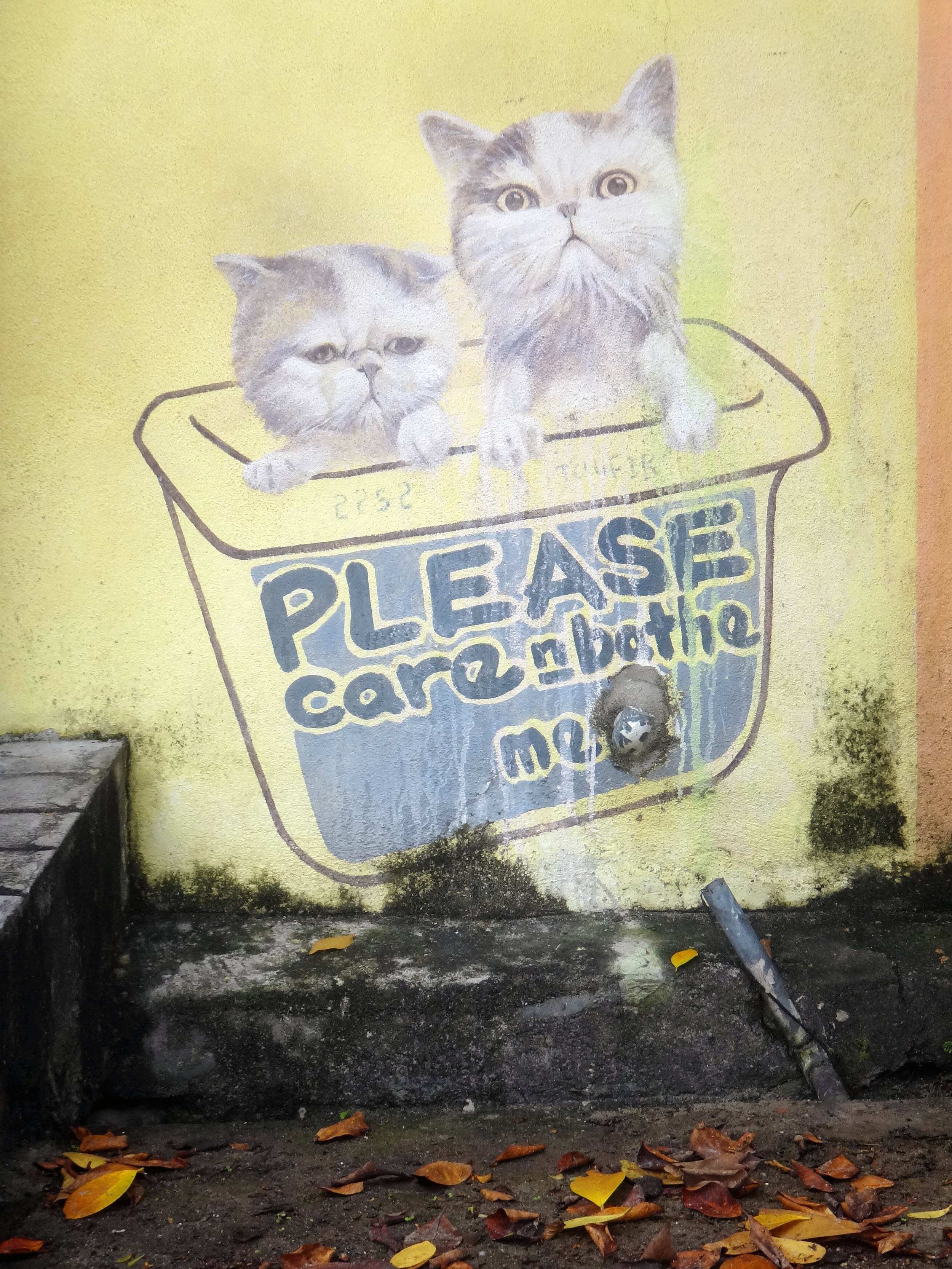 Please care and bathe me