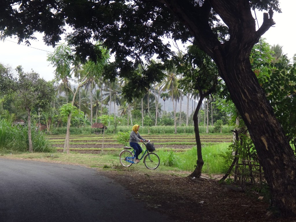 Country life in east Java