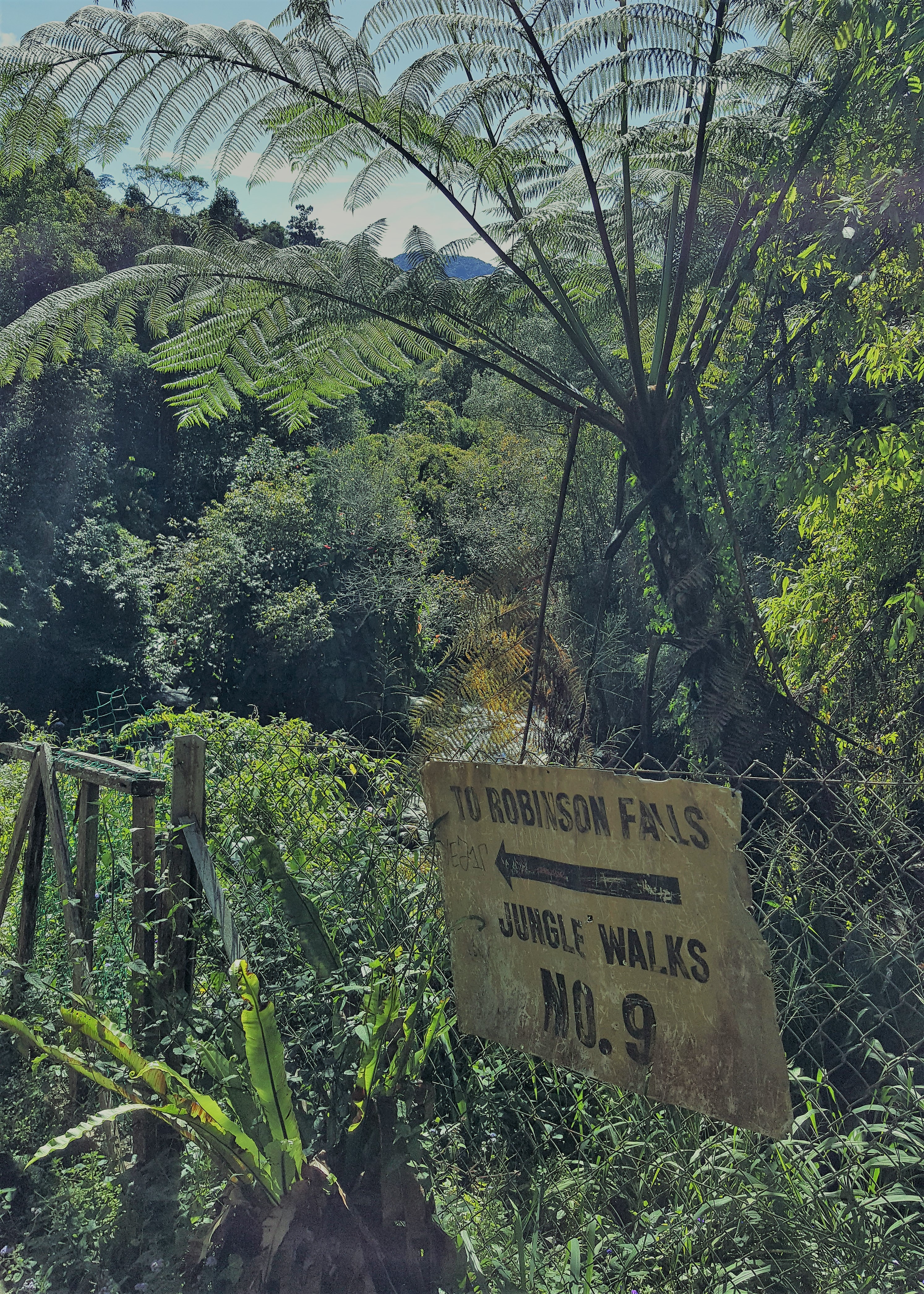 The marker to Jungle walk No. 9 in the Cameron Highlands